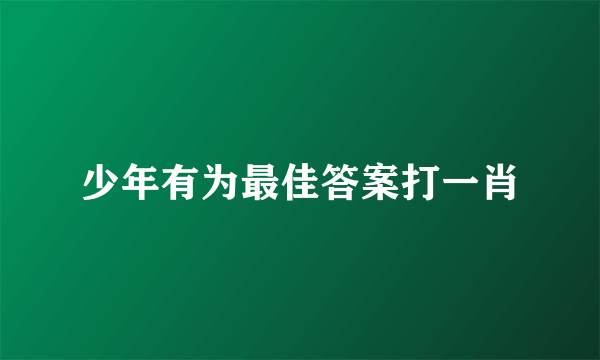 少年有为最佳答案打一肖