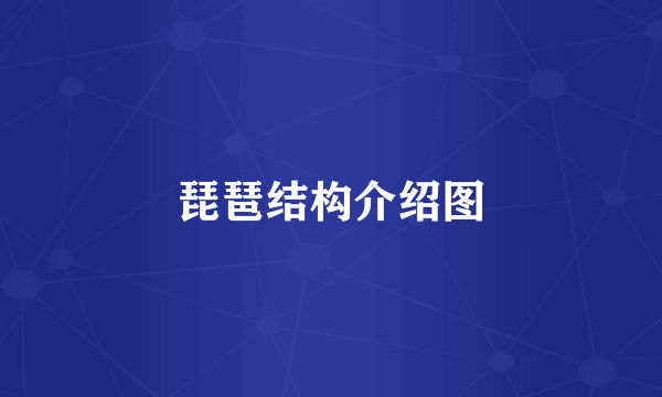 琵琶结构介绍图