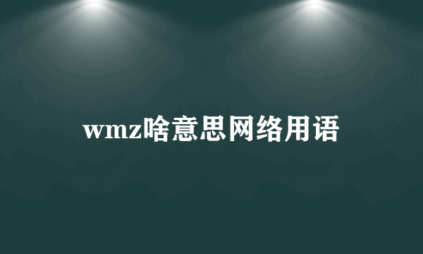 wmz啥意思网络用语