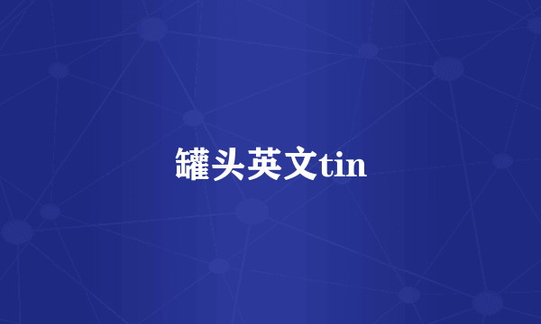 罐头英文tin