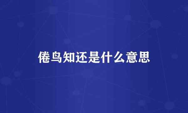 倦鸟知还是什么意思