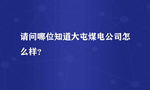 请问哪位知道大屯煤电公司怎么样？