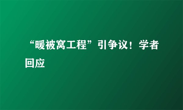“暖被窝工程”引争议！学者回应