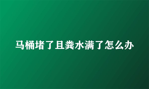 马桶堵了且粪水满了怎么办