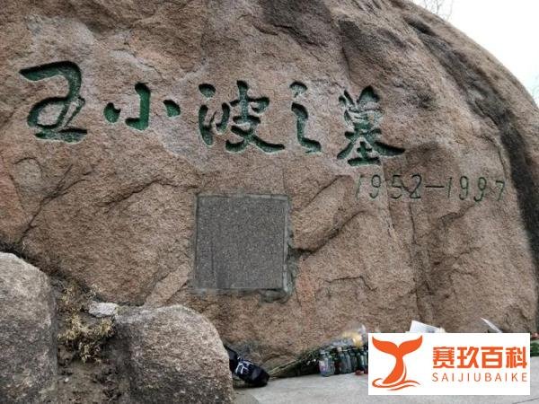 王小波逝世25周年｜一个叫王二的男人决定活得有趣