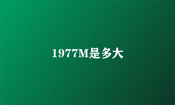 1977M是多大