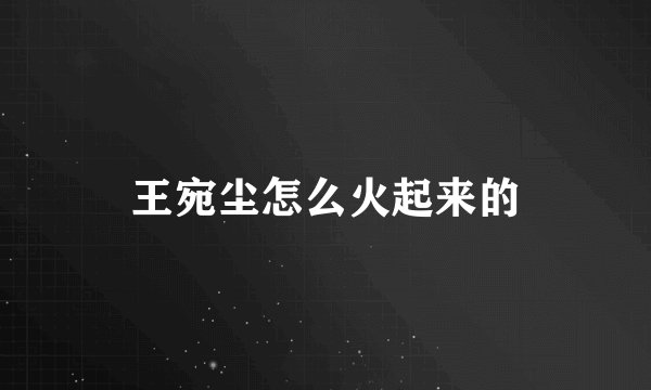 王宛尘怎么火起来的