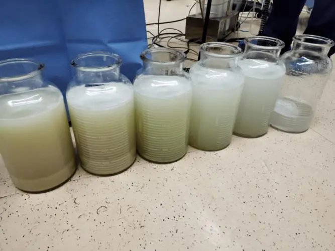 罕见！男子肺里洗出17升“牛奶”样液体，这液体究竟是什么物质？