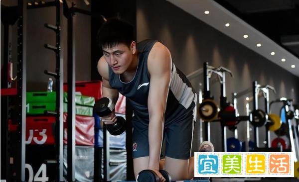 笨鸟先飞!青岛男篮大年初四重新集结,昔日状元渴望重新证明自己