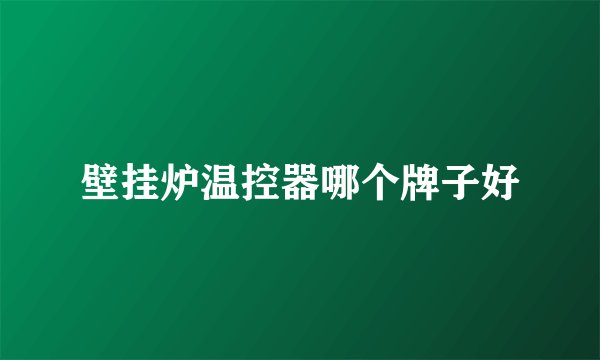 壁挂炉温控器哪个牌子好