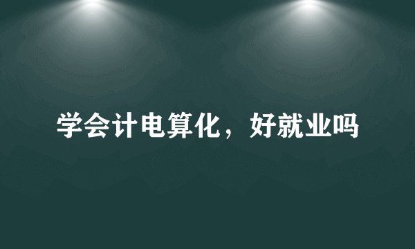 学会计电算化，好就业吗