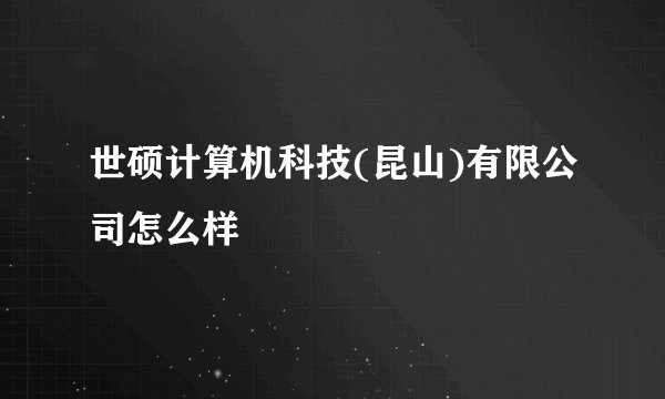 世硕计算机科技(昆山)有限公司怎么样