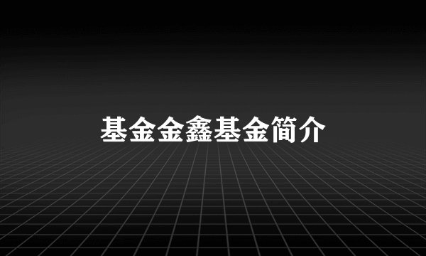 基金金鑫基金简介