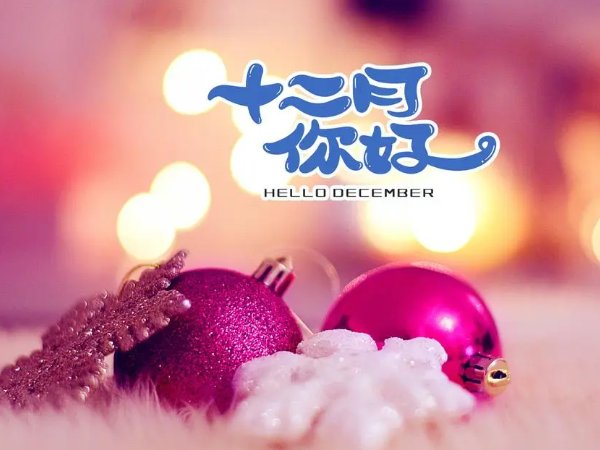 十二月致辞开场金句
