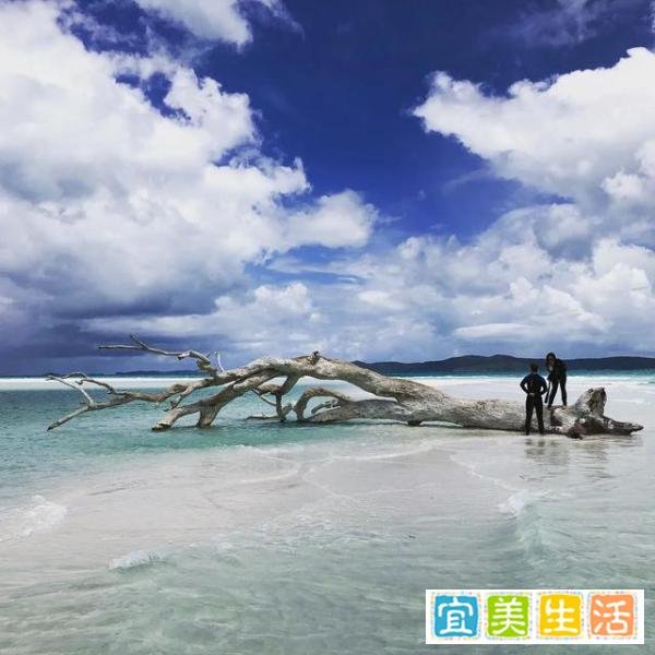 移民故事|110.一个新移民在澳洲买房的心路历程——Kemmy墨尔本生活分享