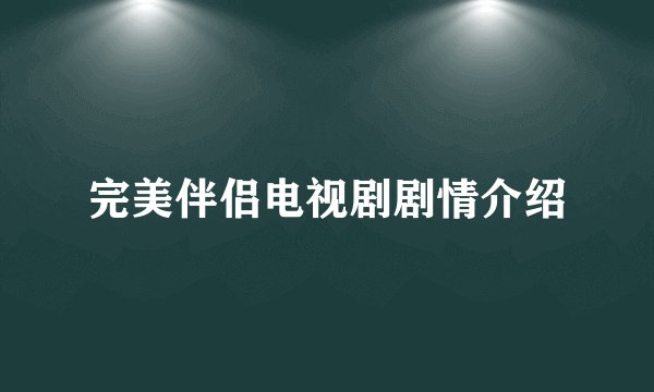 完美伴侣电视剧剧情介绍