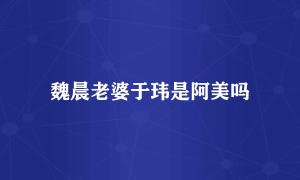 魏晨老婆于玮是阿美吗