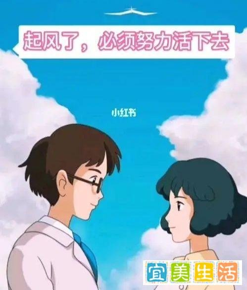《起风了》:经典台词“纵有疾风起,人生不言弃”!
