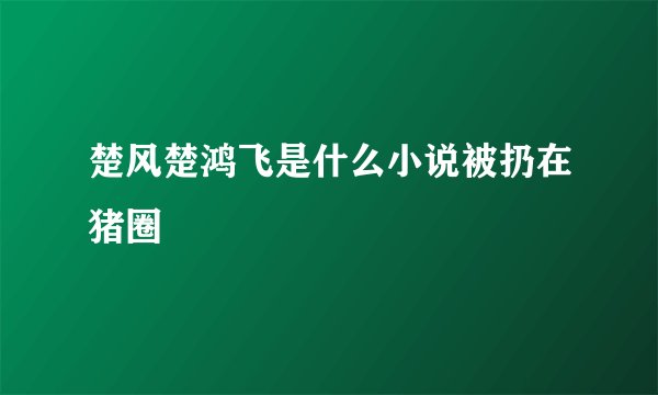 楚风楚鸿飞是什么小说被扔在猪圈