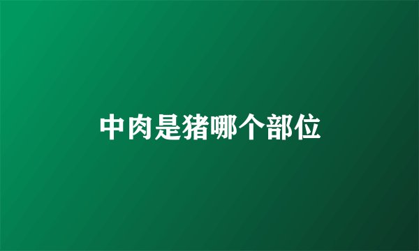 中肉是猪哪个部位