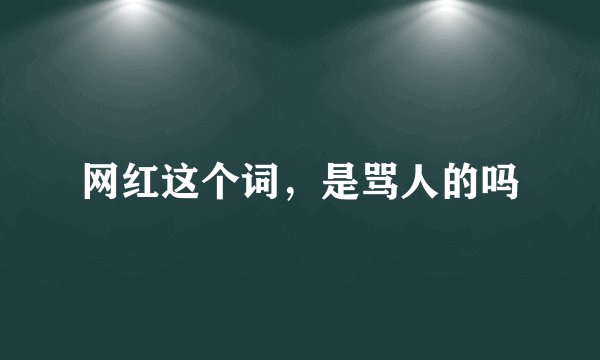 网红这个词，是骂人的吗