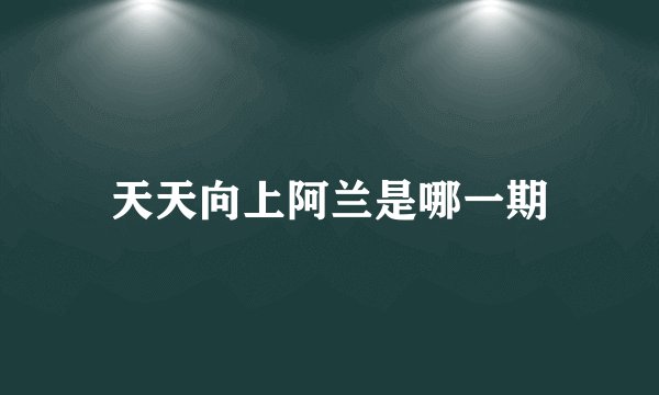 天天向上阿兰是哪一期