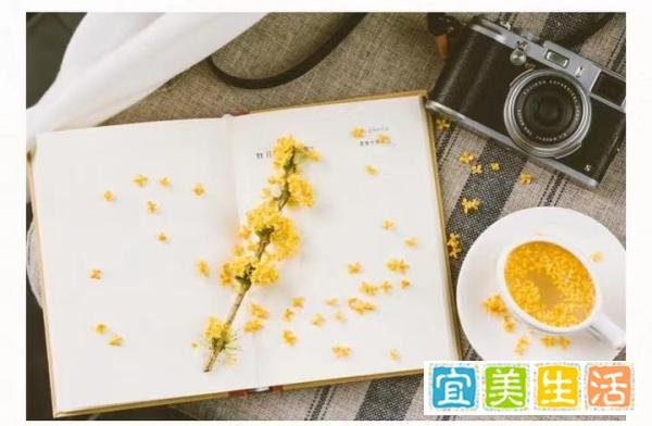 敲黑板，民生银行企业信贷，非税票贷产品，能听懂几分是几分