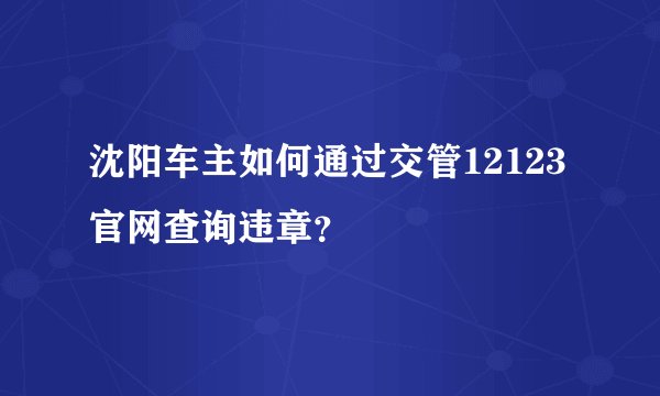 沈阳车主如何通过交管12123官网查询违章？