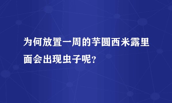 为何放置一周的芋圆西米露里面会出现虫子呢?