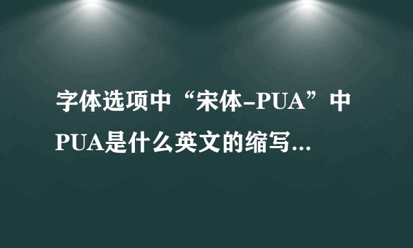字体选项中“宋体-PUA”中PUA是什么英文的缩写还是拼音的缩写？什么意思呢？谢谢