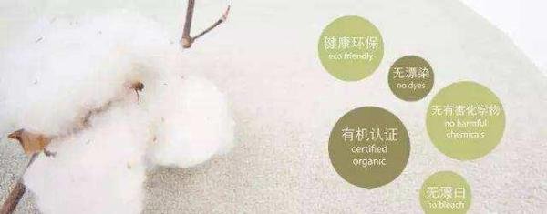 什么是BCI认证，BCI良好棉花和有机棉的区别