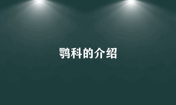 鹗科的介绍