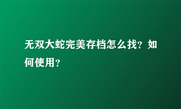 无双大蛇完美存档怎么找？如何使用？