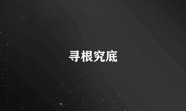 寻根究底