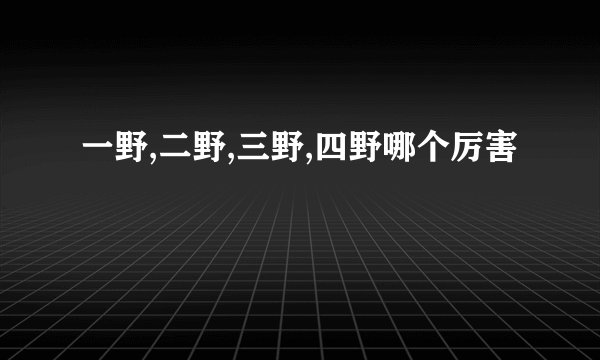 一野,二野,三野,四野哪个厉害