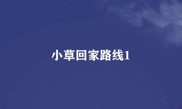 小草回家路线1