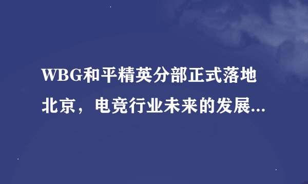 WBG和平精英分部正式落地北京,电竞行业未来的发展情况如何?