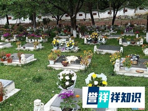 男子扫墓后发烧竟因吸入霉菌：咳嗽不止、胸痛发烧。