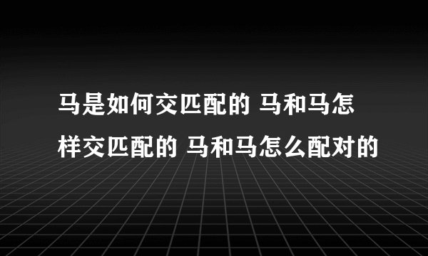 马是如何交匹配的 马和马怎样交匹配的 马和马怎么配对的