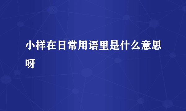 小样在日常用语里是什么意思呀