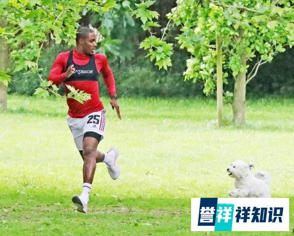 沪媒：曼联想续租伊哈洛至赛季结束， 申花与红魔谈判仍在继续