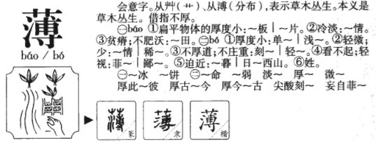 什么叫薄皮？