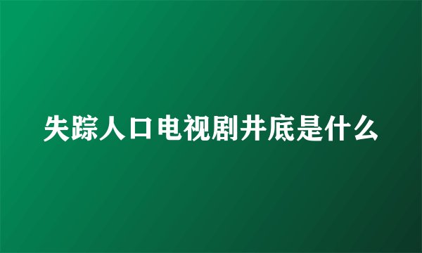 失踪人口电视剧井底是什么