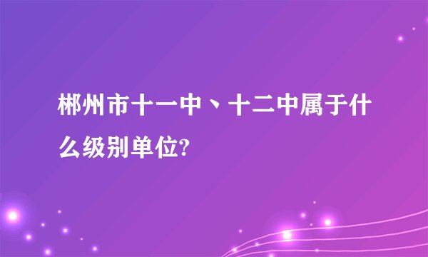 郴州市十一中丶十二中属于什么级别单位?