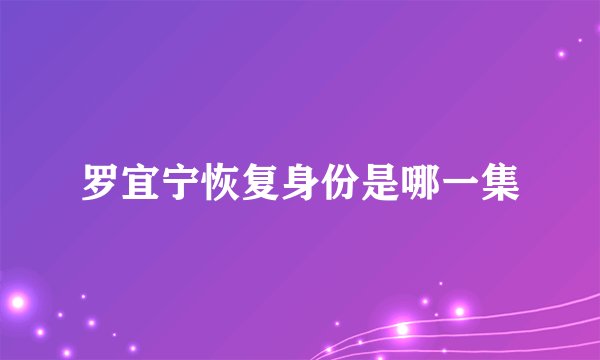 罗宜宁恢复身份是哪一集