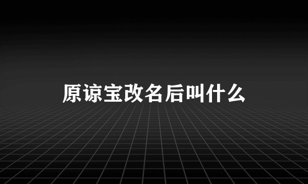 原谅宝改名后叫什么