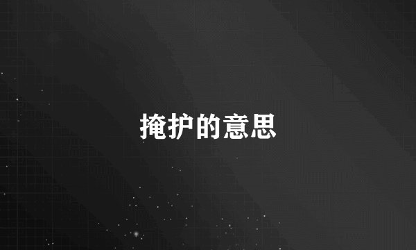 掩护的意思