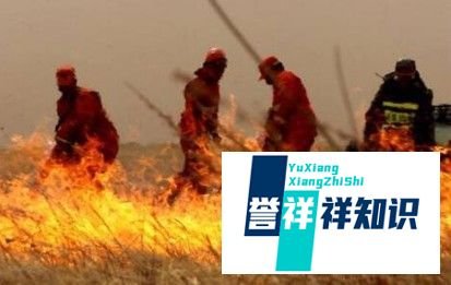 山火为什么难以扑灭