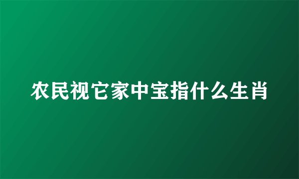 农民视它家中宝指什么生肖