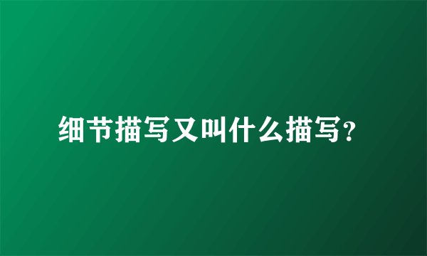 细节描写又叫什么描写？